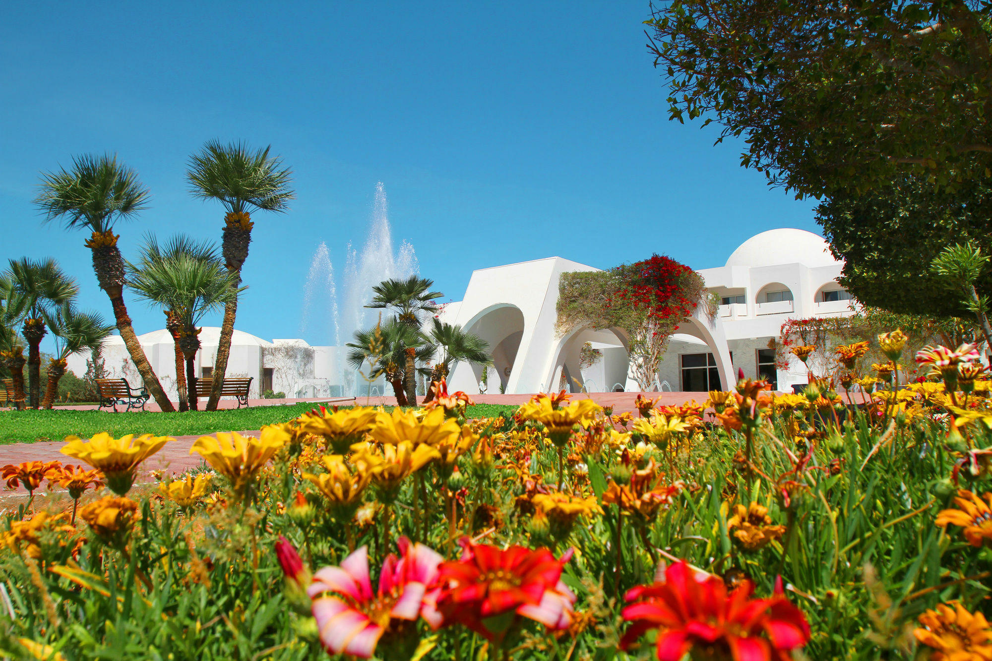 Hotel Djerba Plaza Thalasso & 4*